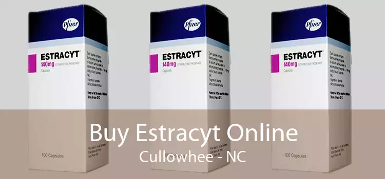 Buy Estracyt Online Cullowhee - NC