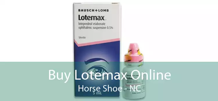 Buy Lotemax Online Horse Shoe - NC