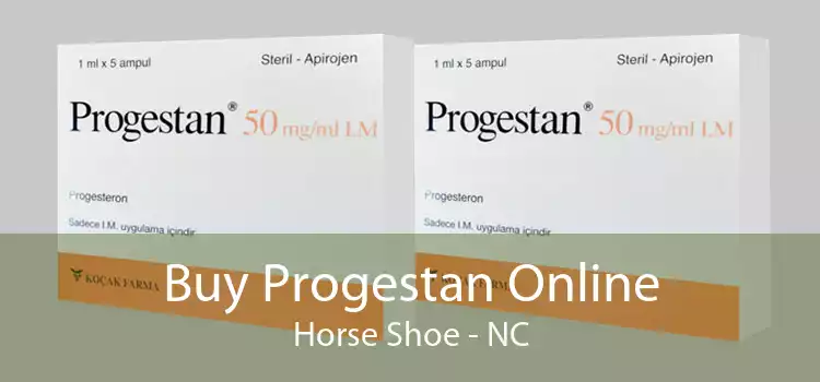 Buy Progestan Online Horse Shoe - NC
