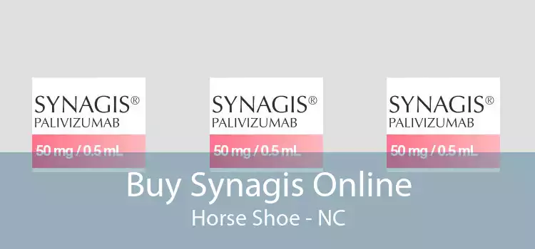 Buy Synagis Online Horse Shoe - NC